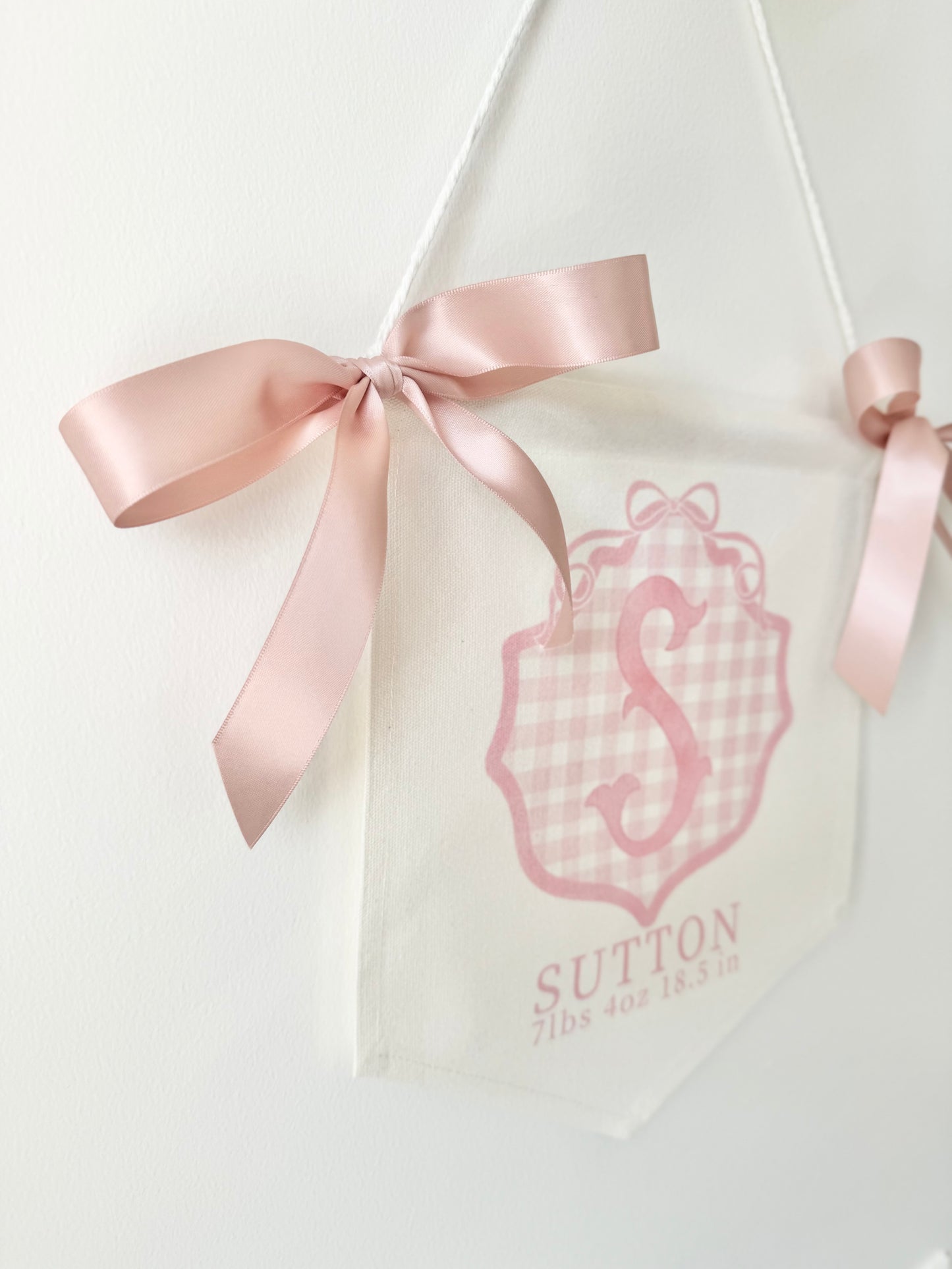 Personalized baby girl banner with floral crest design displayed on nursery crib custom name sign for baby shower gift idea unique newborn photo prop soft pink nursery wall decor for baby girl elegant custom baby name banner for crib or hospital door handmade baby girl room sign perfect for baby shower gift basket or first birthday photos custom heirloom nursery decoration for little girl timeless floral baby name sign for newborn announcement or photography backdrop girl wall nursery decor pink